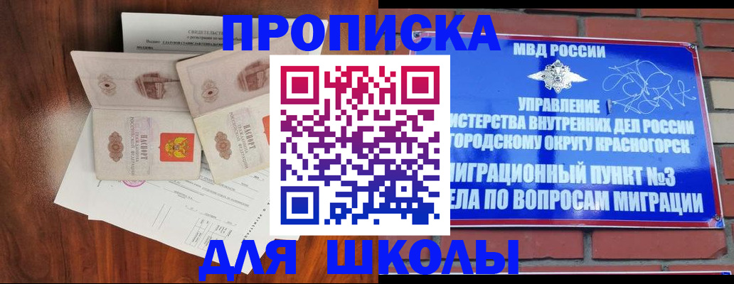 прописка поиск в Купино